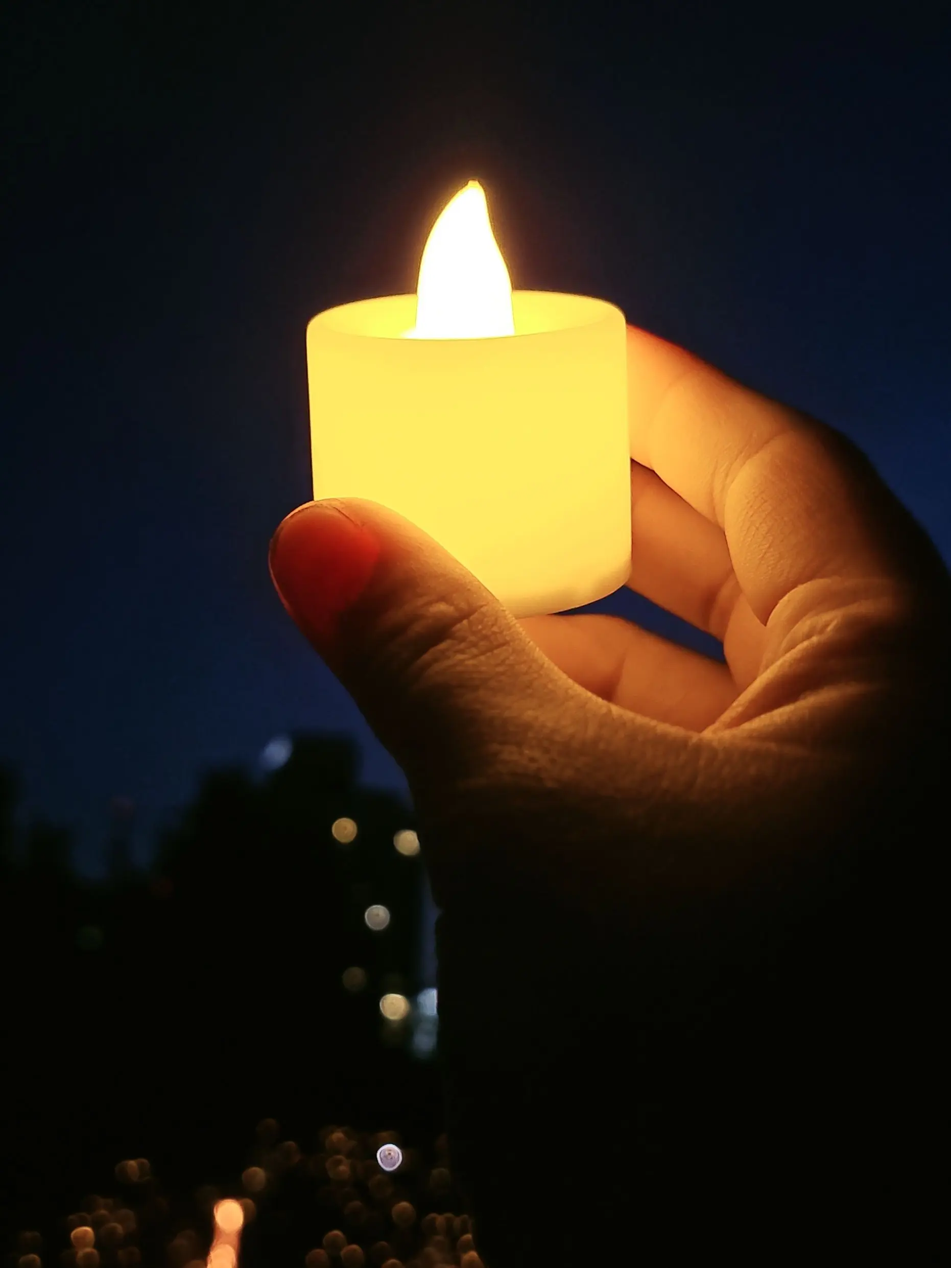 StubbyPiu3387의 팀나빠X고고프렌즈