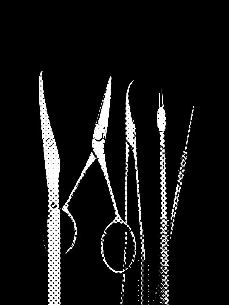 1.1.의 ㅤㅤㅤㅤ