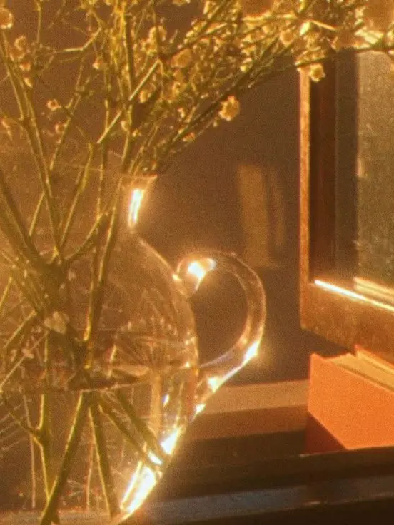 margin--.의 정말이지,