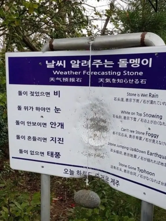 AmusedCork5738의 쉬이- 아가,