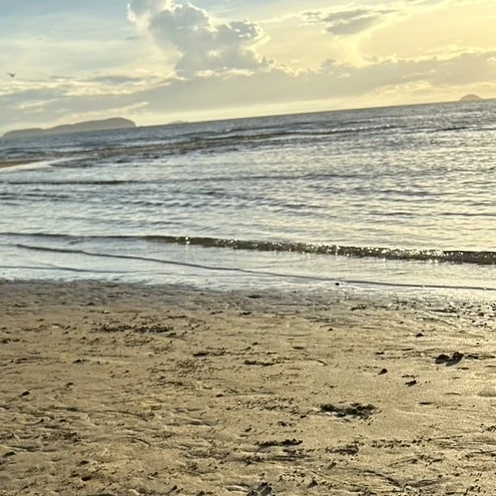 助けちゃった…