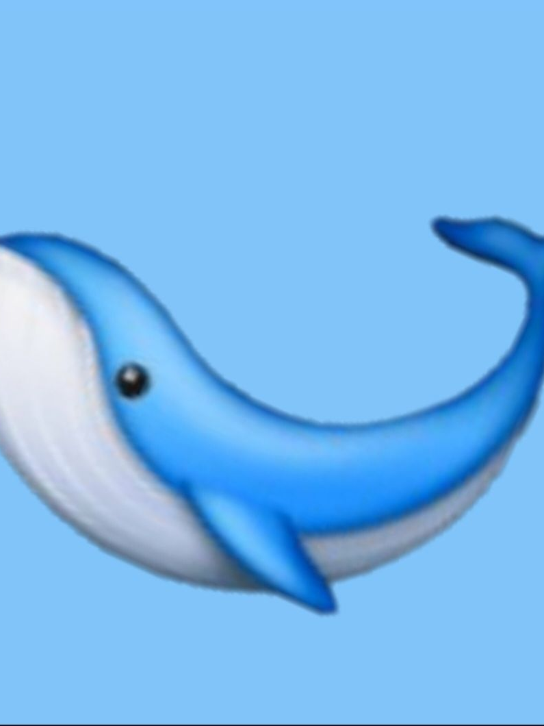 잠든...🐋? 대표 이미지