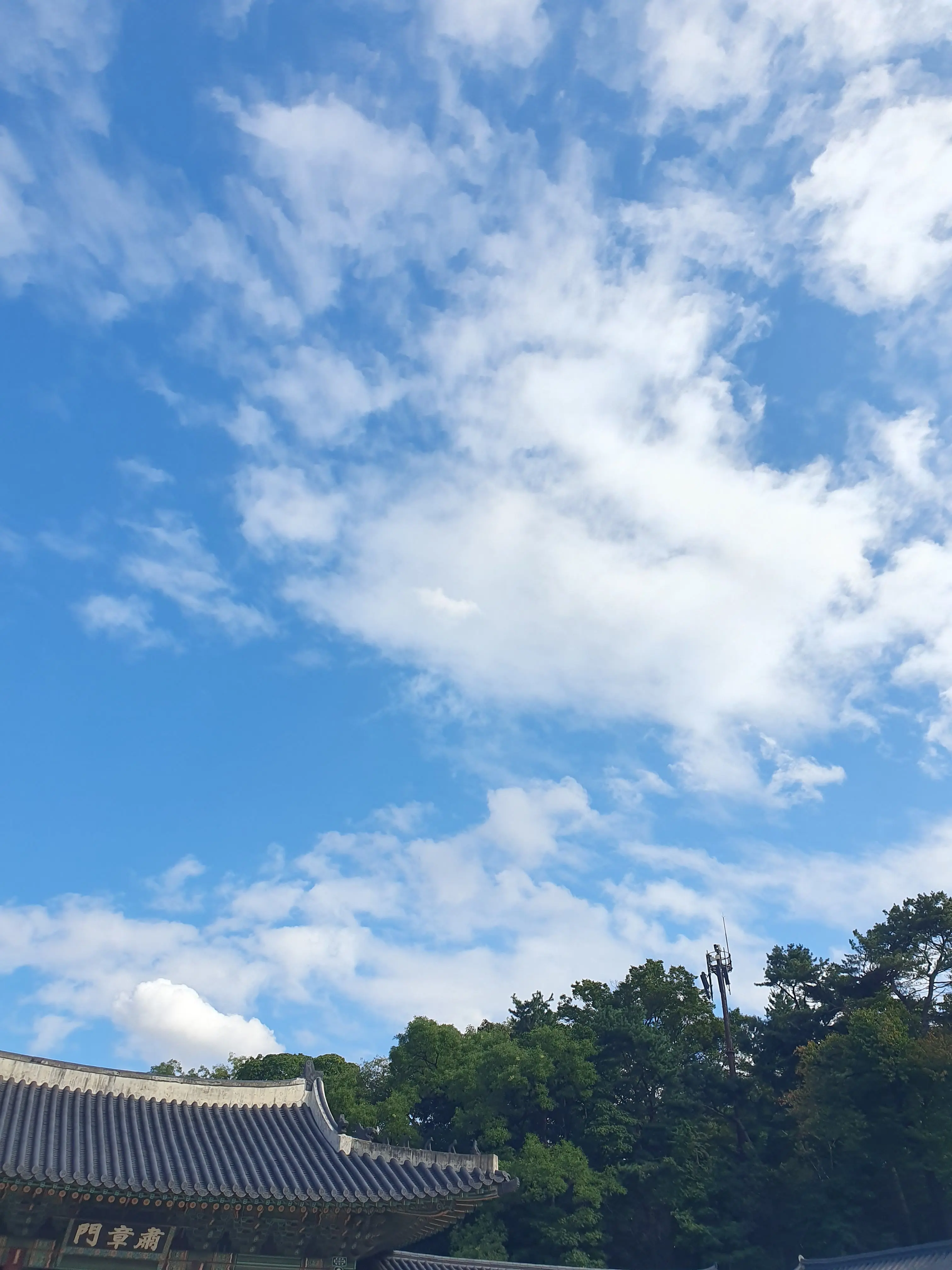 PrimGrill8454의 크리스마스 뜰팁