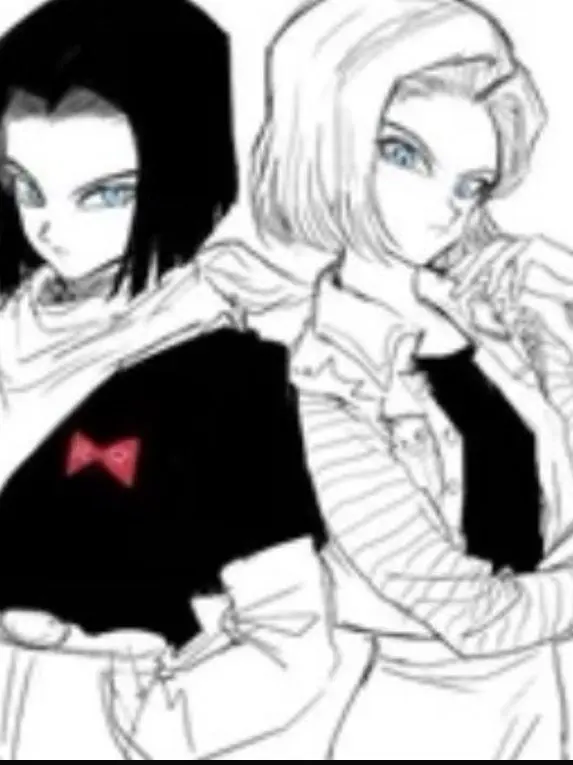 FabricDrone6862의 Android 17 and 18