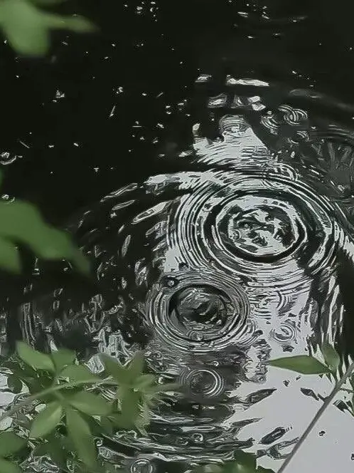 Bdjskqla의 정형준