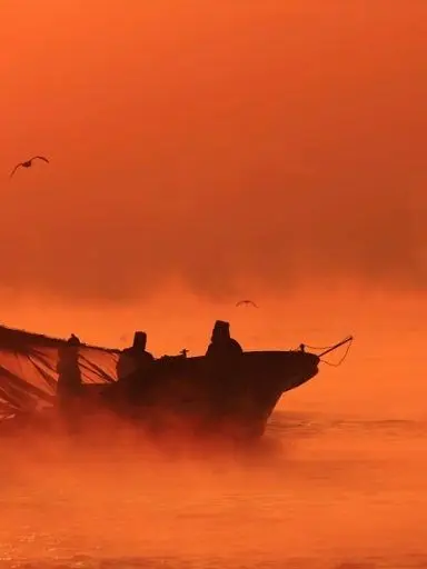 NOlSE의 망자 데려오라고..