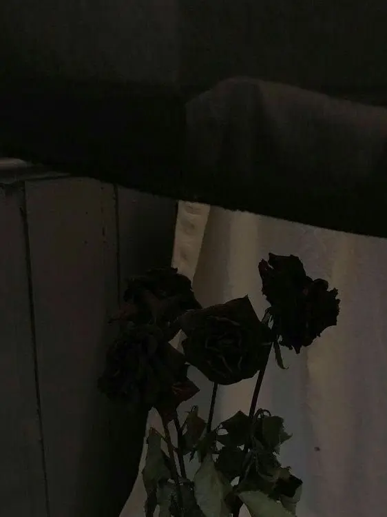 Lahee_heart의 "저...더이상 이러고 싶지 않아요"