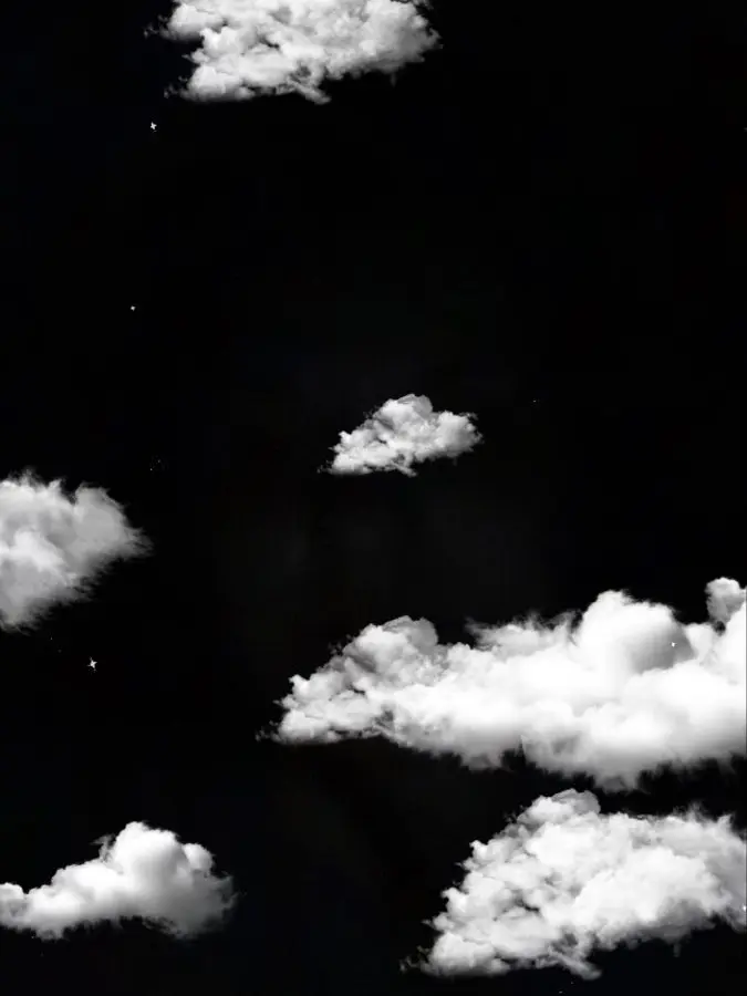 Riri__Ans의 忌み子