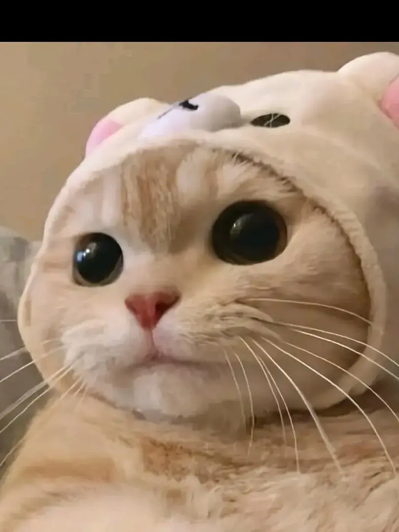 ThickBarb9863의 첫째로 살아보기