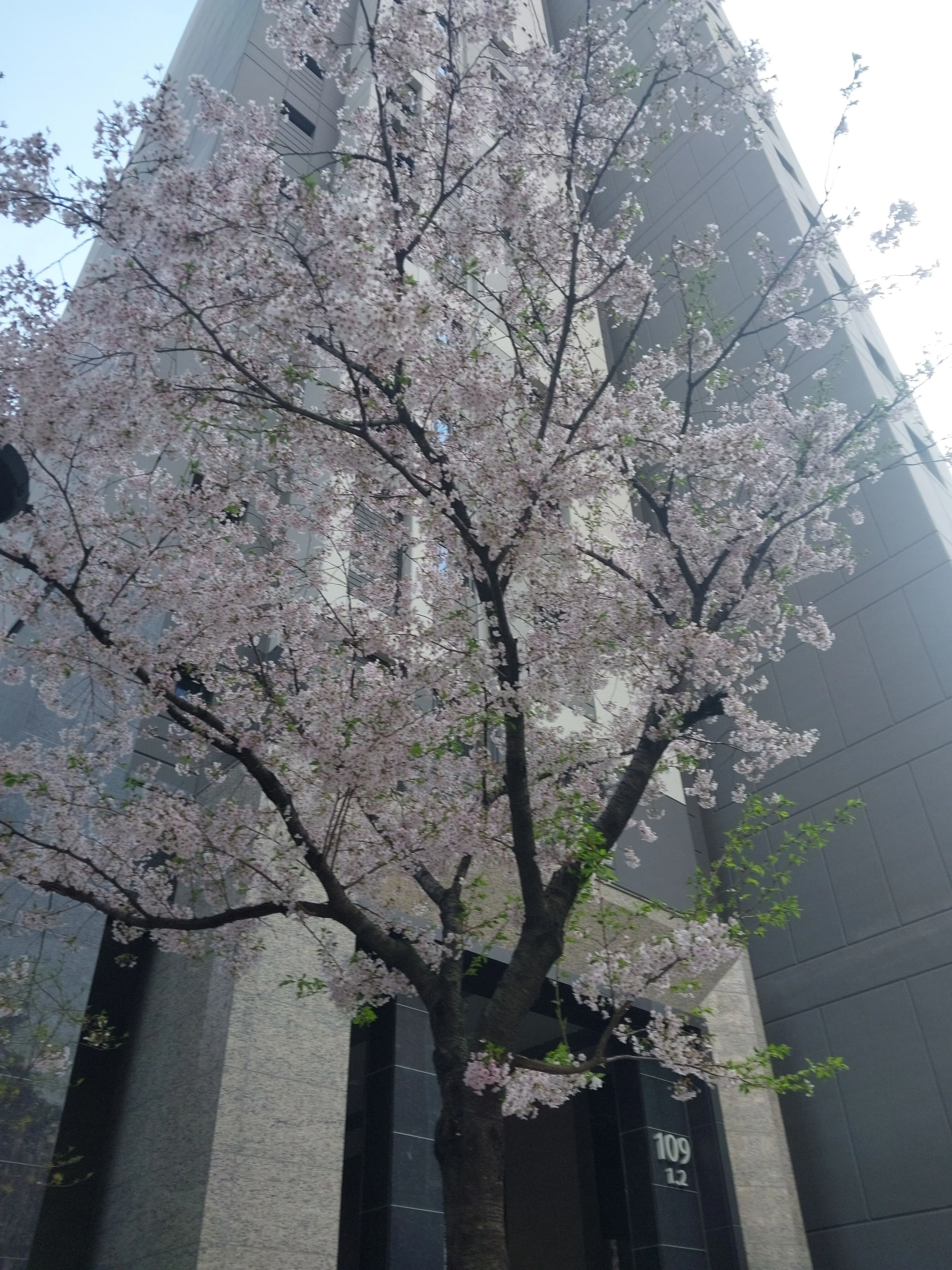 ChunkyPaper7568의 남녀무리