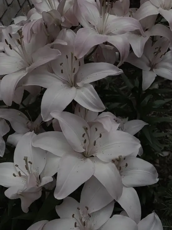 bean.013의 재밌음을 같이 베푸는 사람.