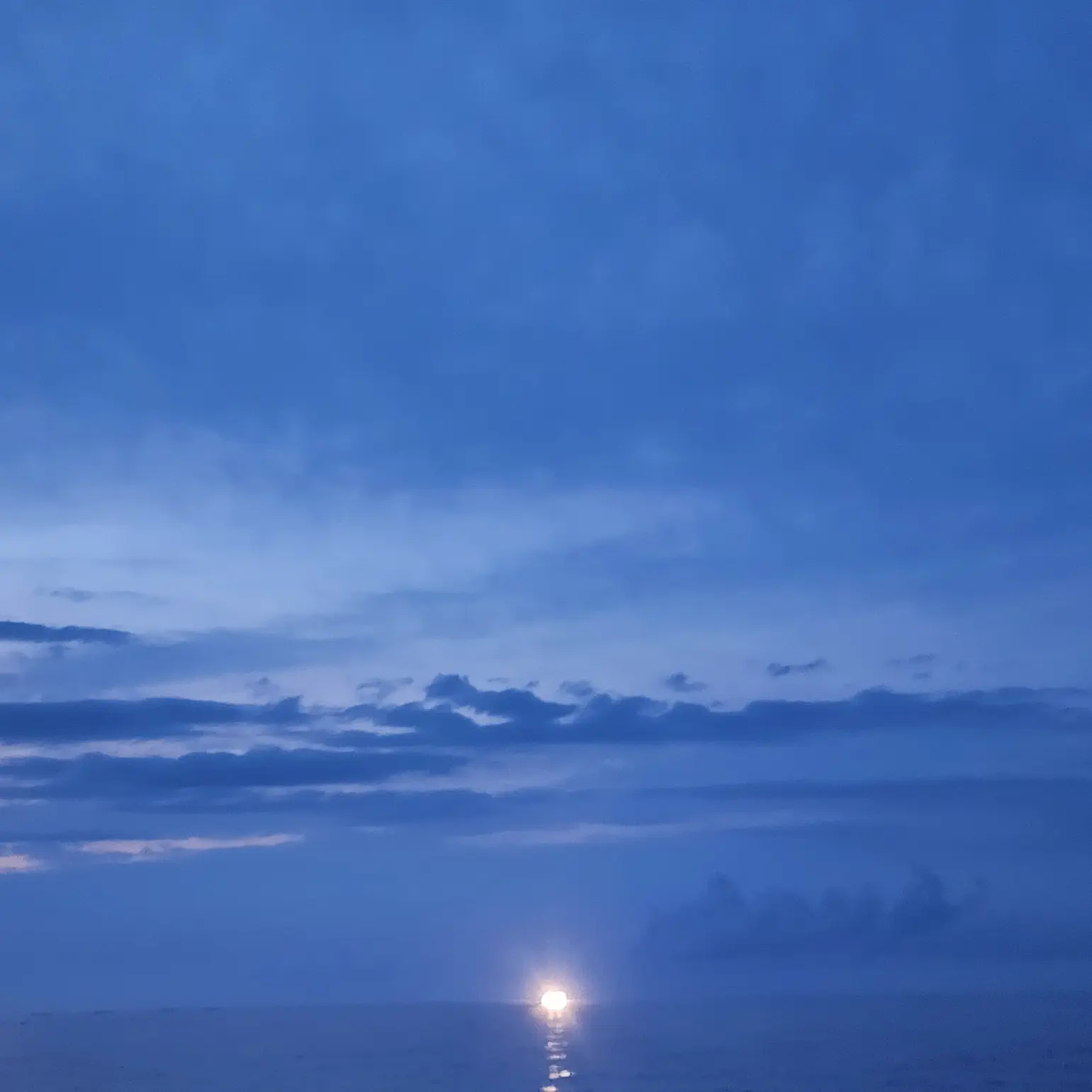 StupidLid0086의 인외의 집