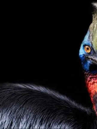 tyonbori0110의 北斗総一郎