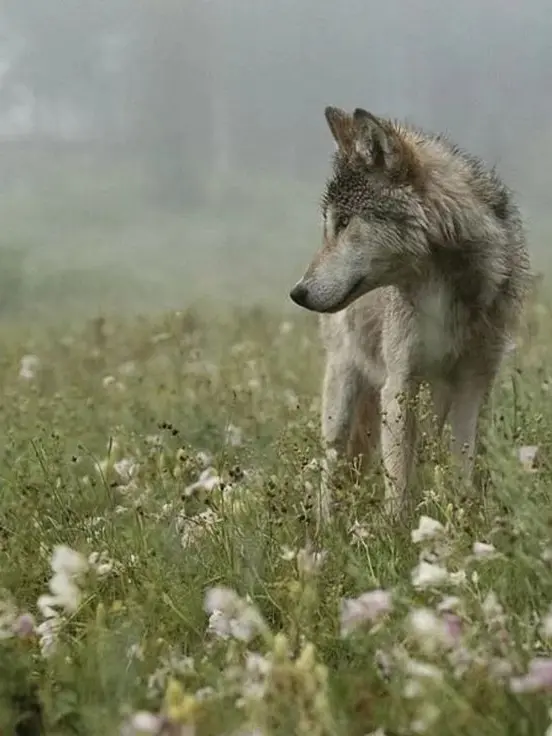 this_12의 울음이 멈춘 밤