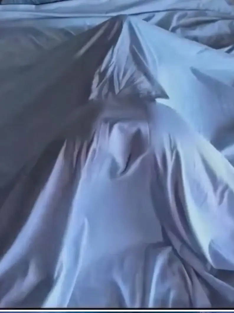 SalmonRings1456의 ベッドの幽霊