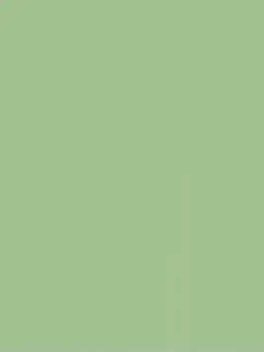 NewDaug6329의 禪院直哉