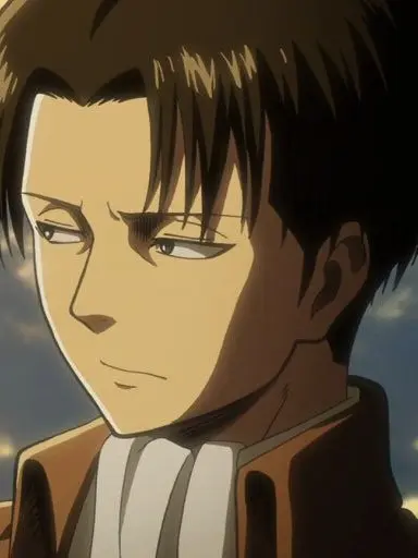 CurvedMall0429의 리바이 아커만