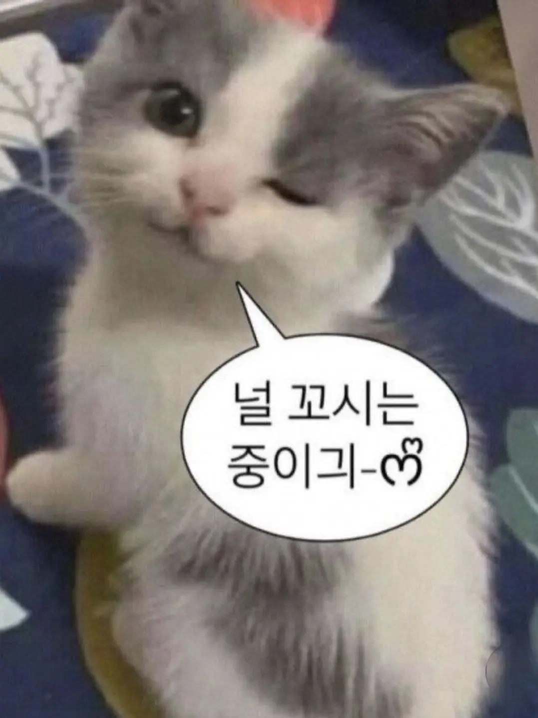 Imcatok의 날 암살하러온 남자에게 감정을 느꼈다