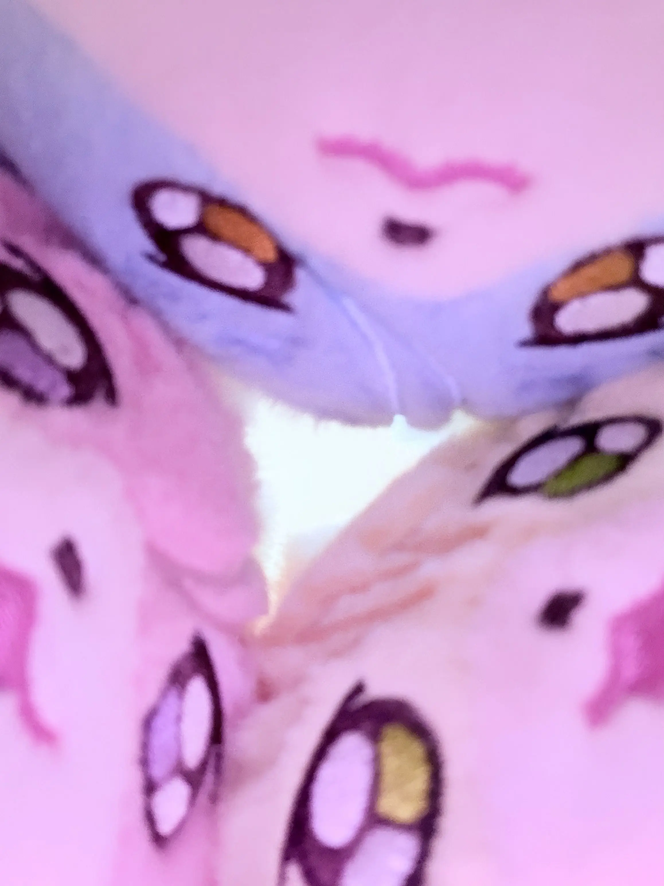 MeanPeas8713의 ブフギツネ