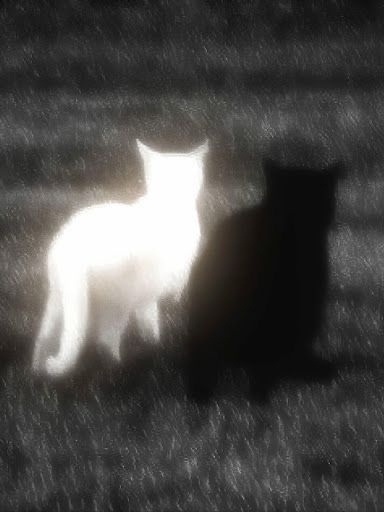 Tenebris 대표 이미지