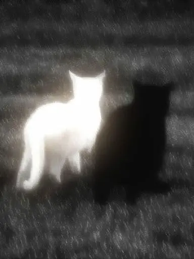 Dust_ww의 Tenebris