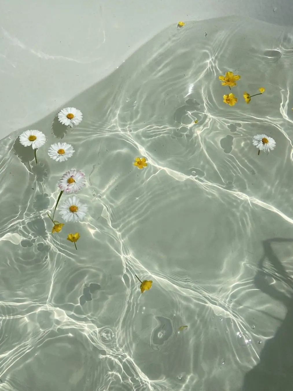 lemonsugiruwacci의 嫌い嫌いも好きのうち