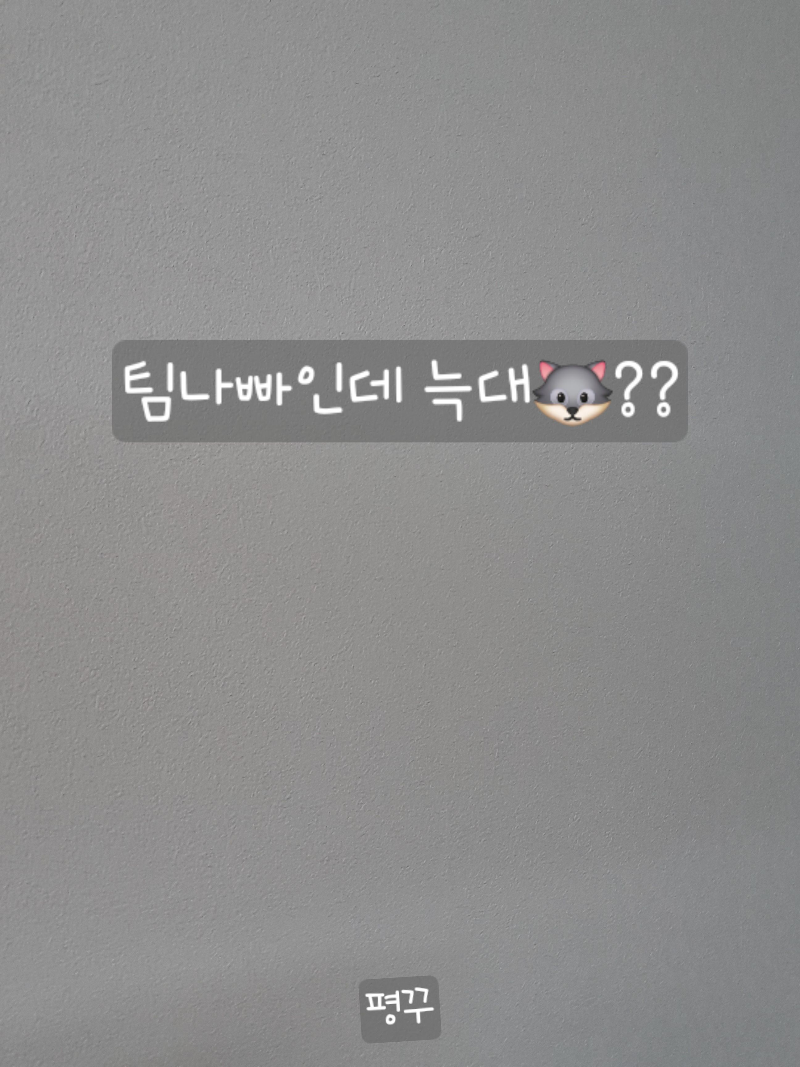 팀나빠인데 늑대🐺?? 대표 이미지