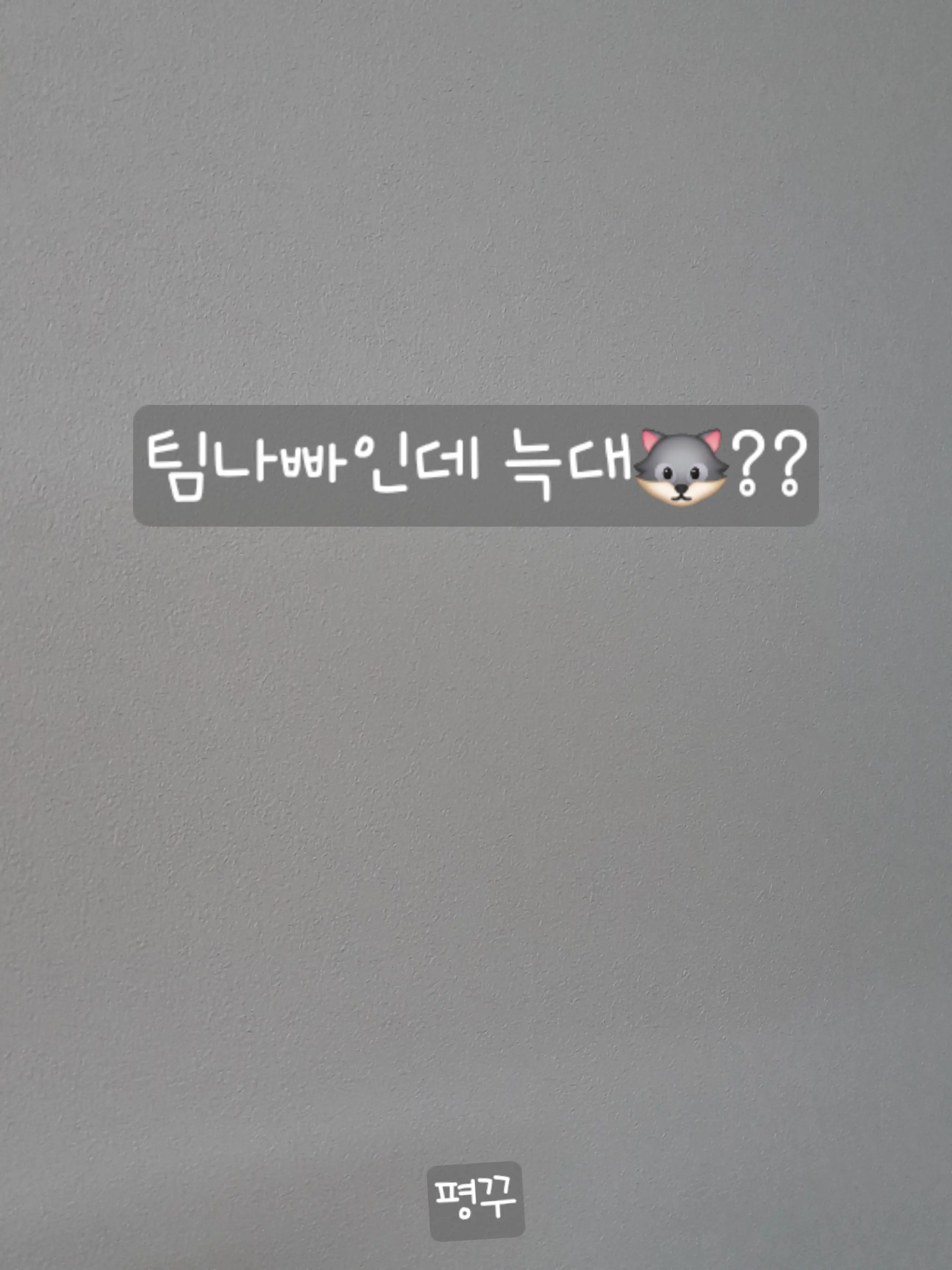 _EIEI_의 팀나빠인데 늑대🐺??