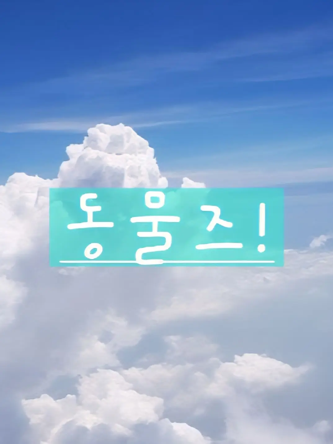 BasicFear2751의 동물즈와 동거하기! :)