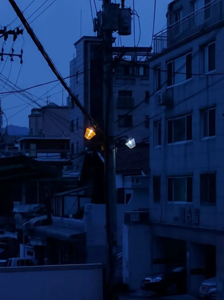 DenseWhisk0887의 한태식