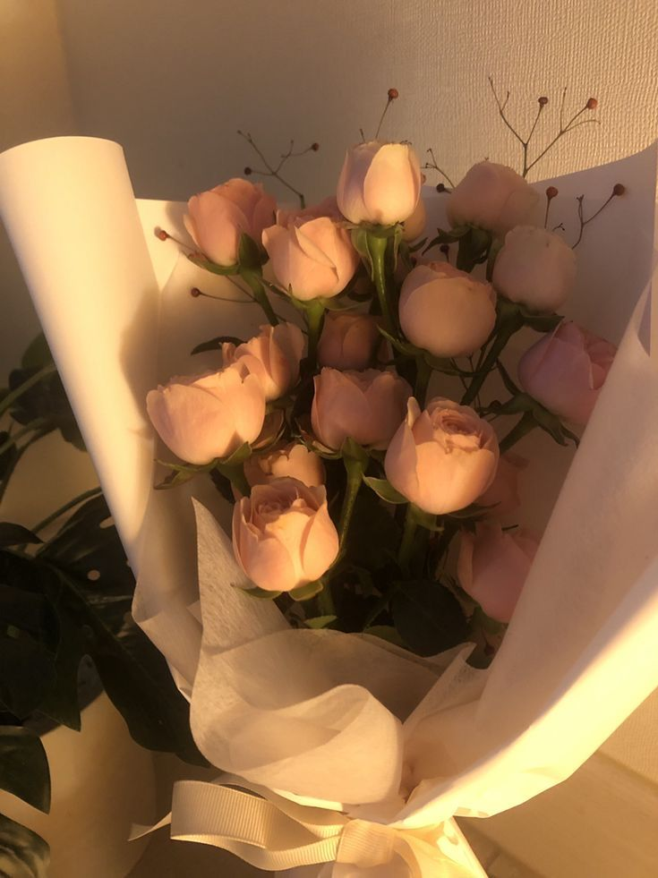동정각성(動情覺醒) 대표 이미지