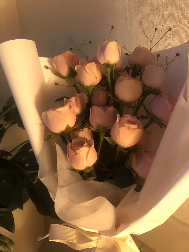 LonelySloth9757의 동정각성(動情覺醒)