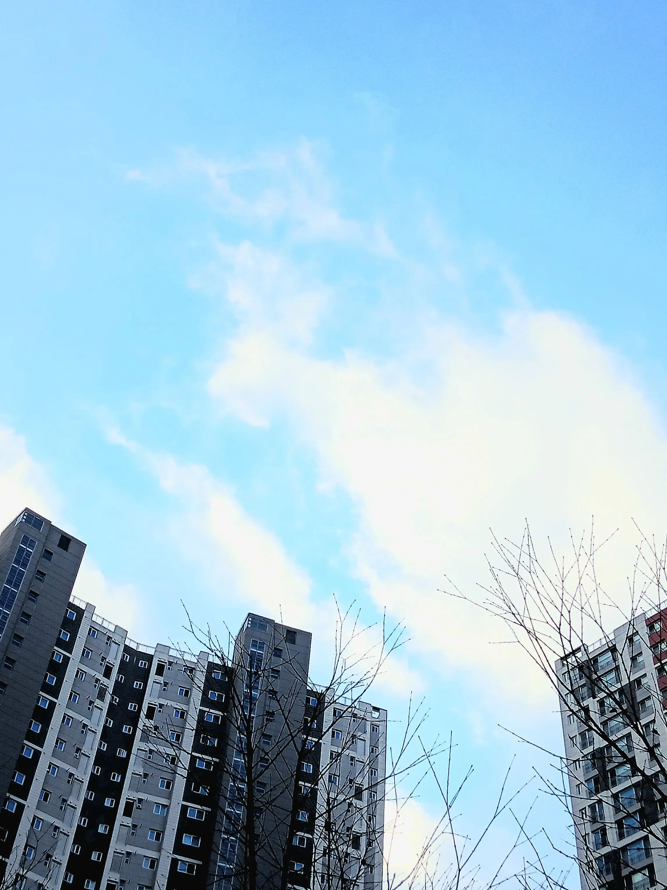 CherryRake0390의 오징어게임 + 와팸 (병정 되기)