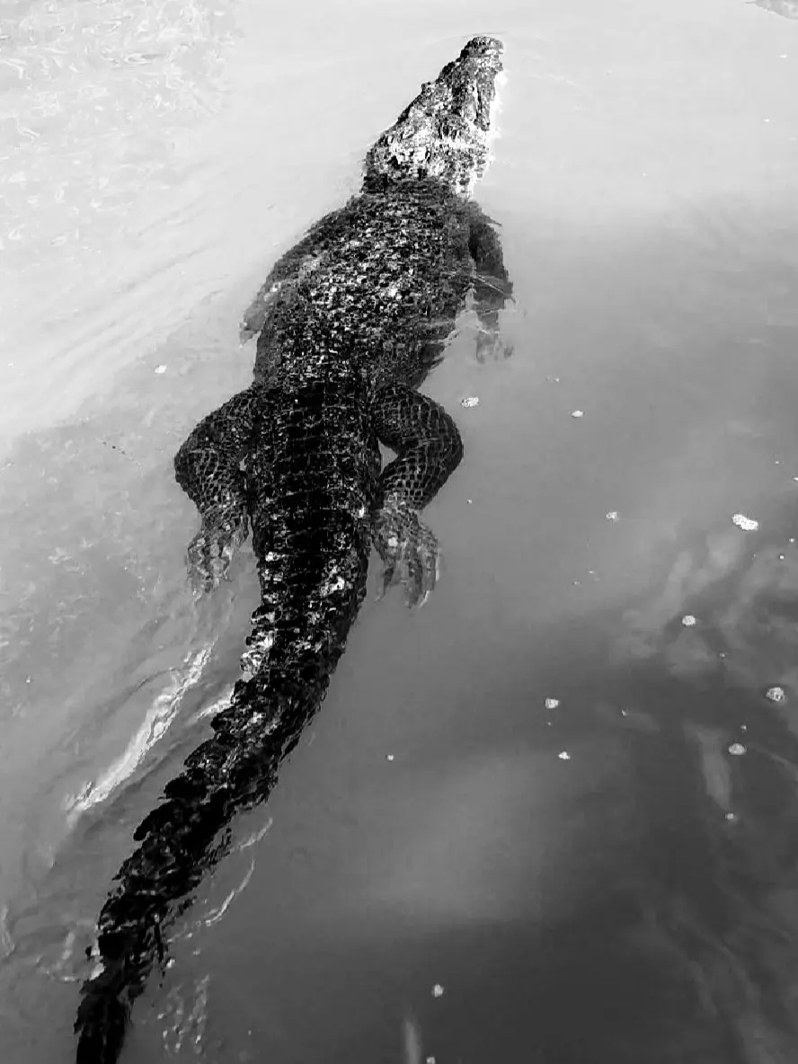 hhhhhhhh_0n의 Raymond