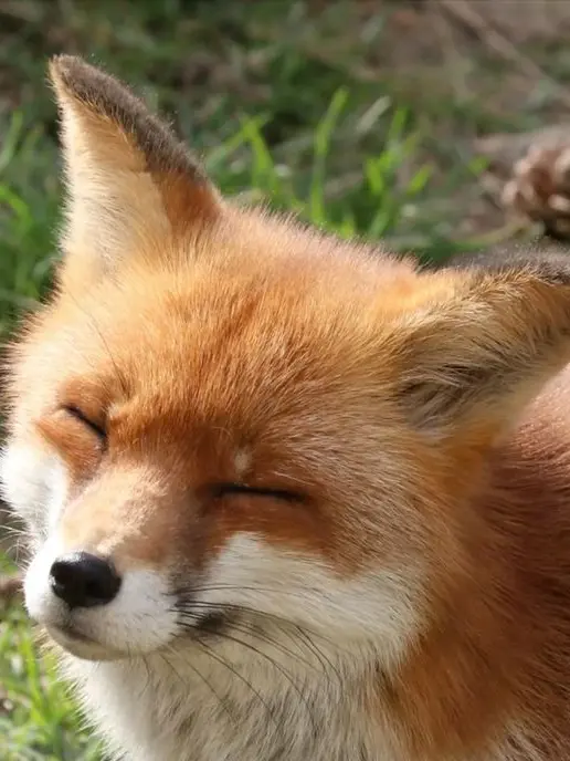 shooting_star._.의 저런 여우년이 다있어..?