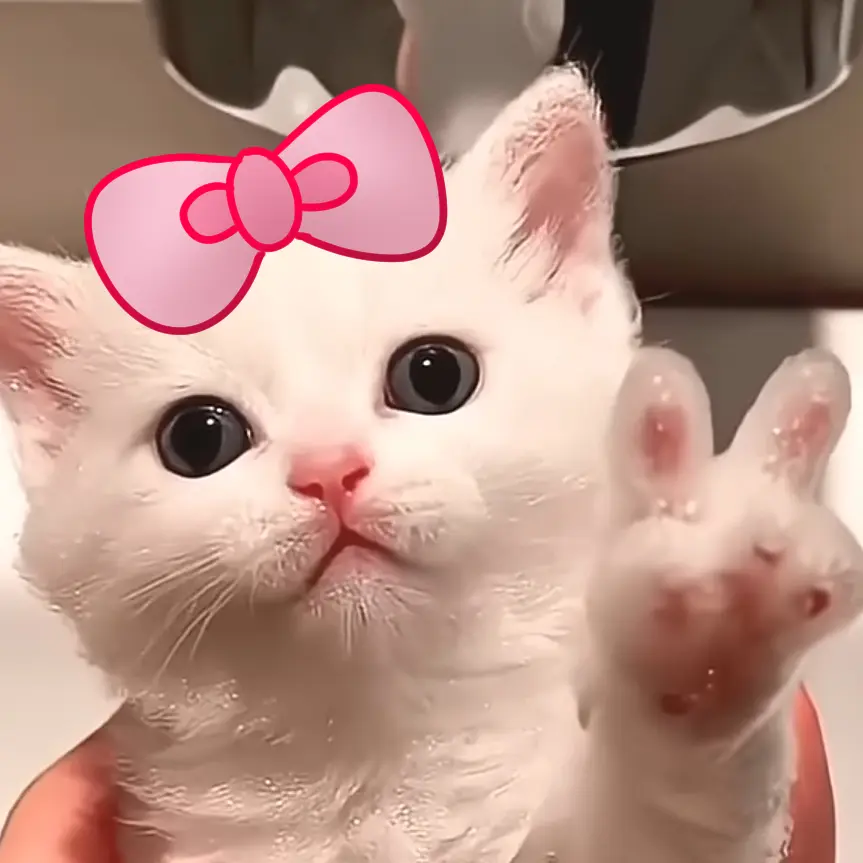 devils_by_wrtn의 멜로(친구케)