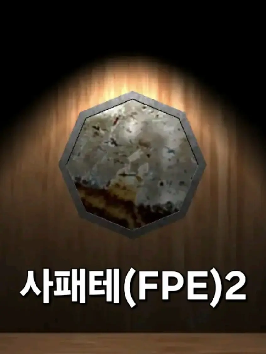 t_6의 사패테(FPE), 유저들 포함 등장2
