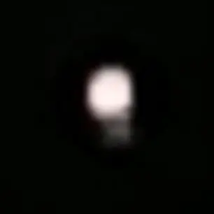 just_person2010의 뭉칠이의 유곽 잠입수사