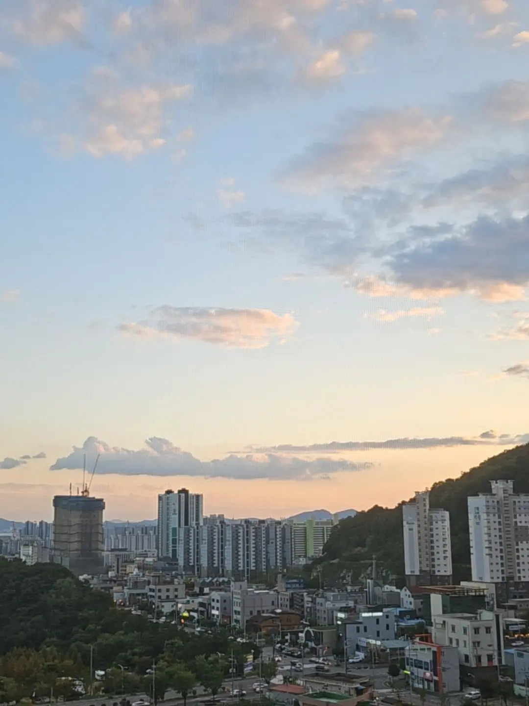 TestyDuck6859의 뜰팁 학교+여우+늑대