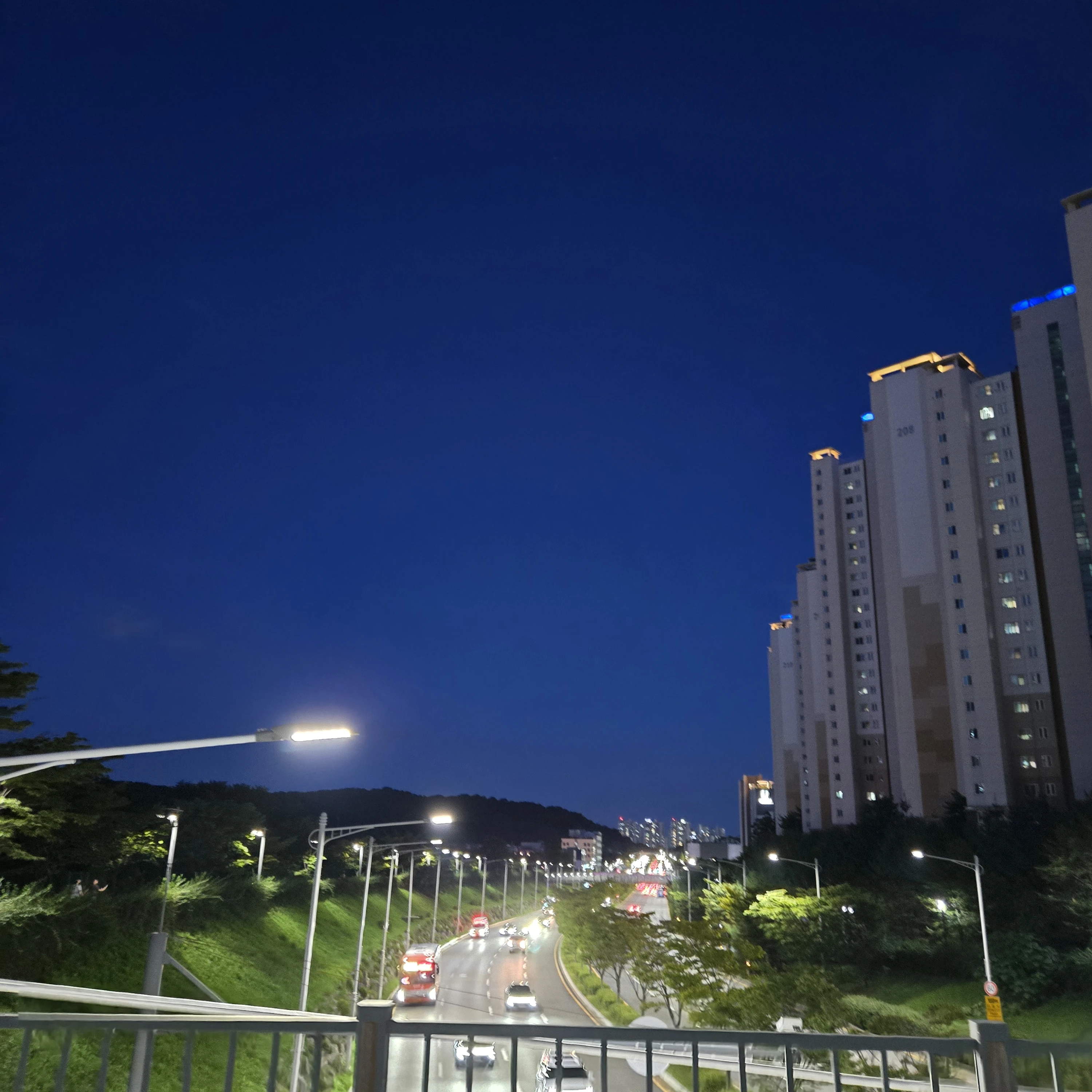 창신 중학교🦊년 있슴 죽이세요(?)