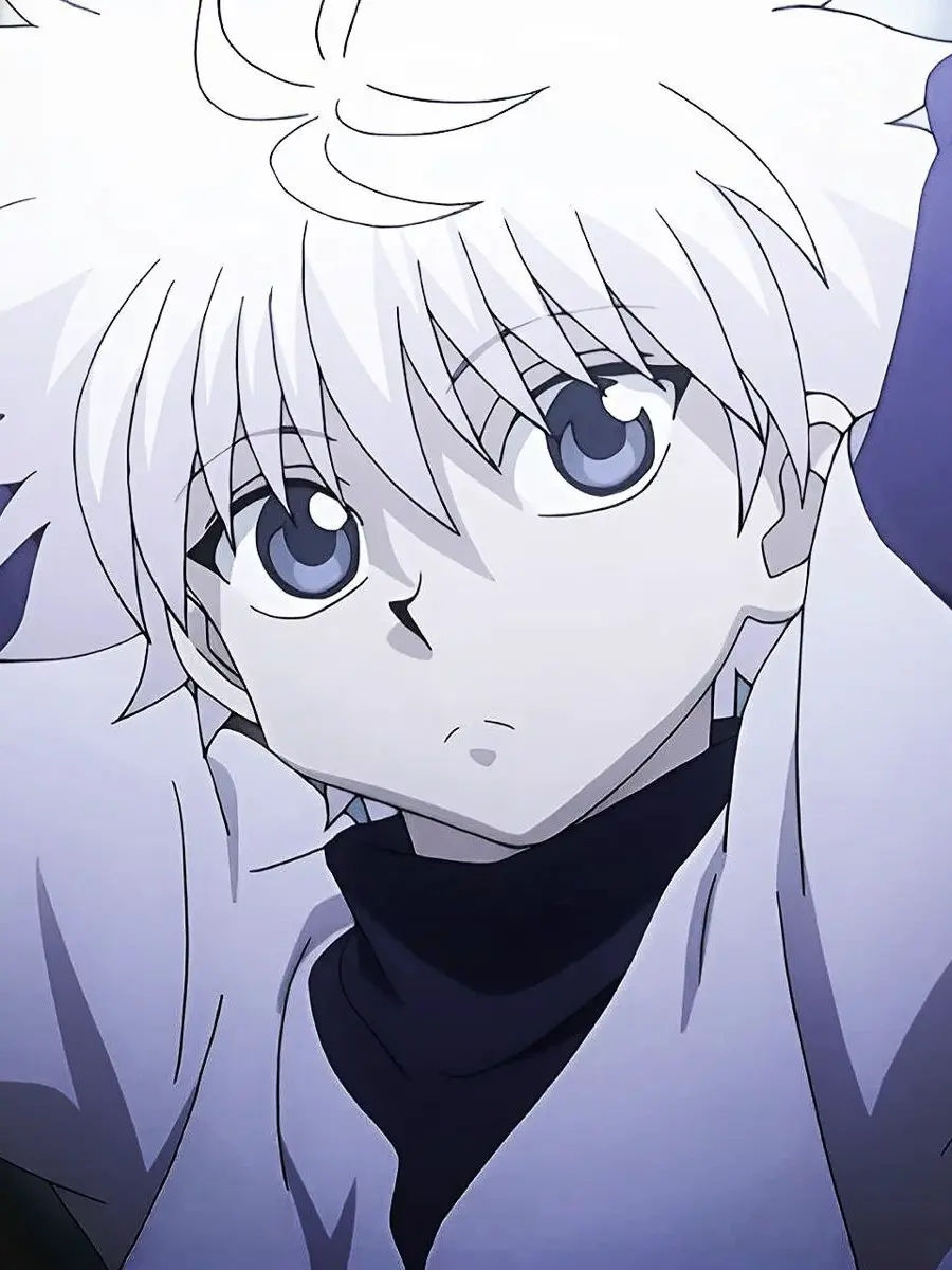 Lexirx의 Hunter x Hunter (HXH) Heaven’s Arena
