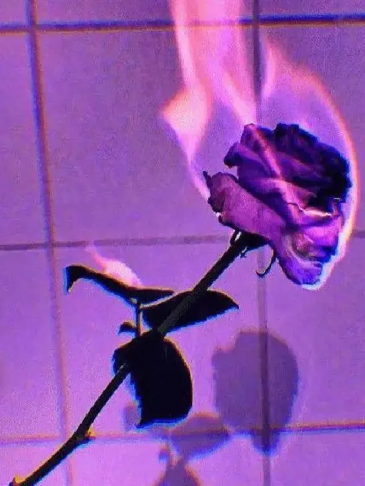 Blanked.love의 0107