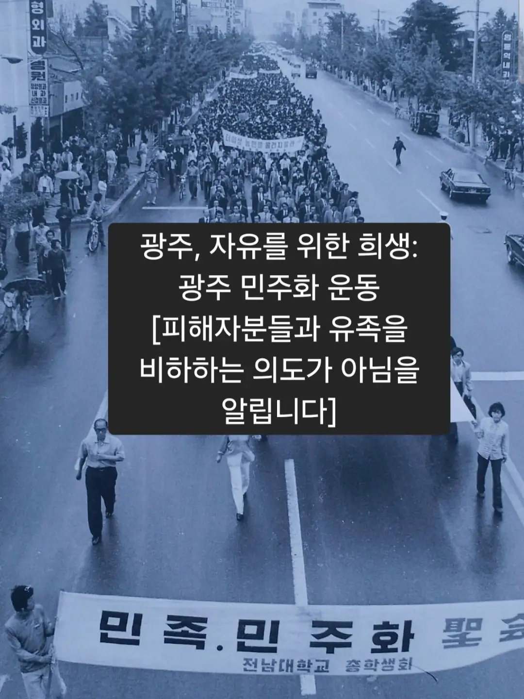 Skahwhoq의 광주, 자유를 위한 희생: 민주화