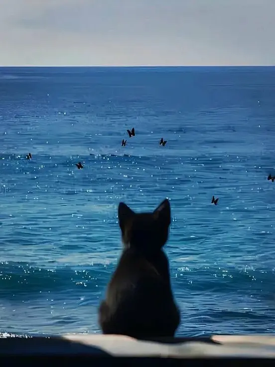 _snow의 패러다이스