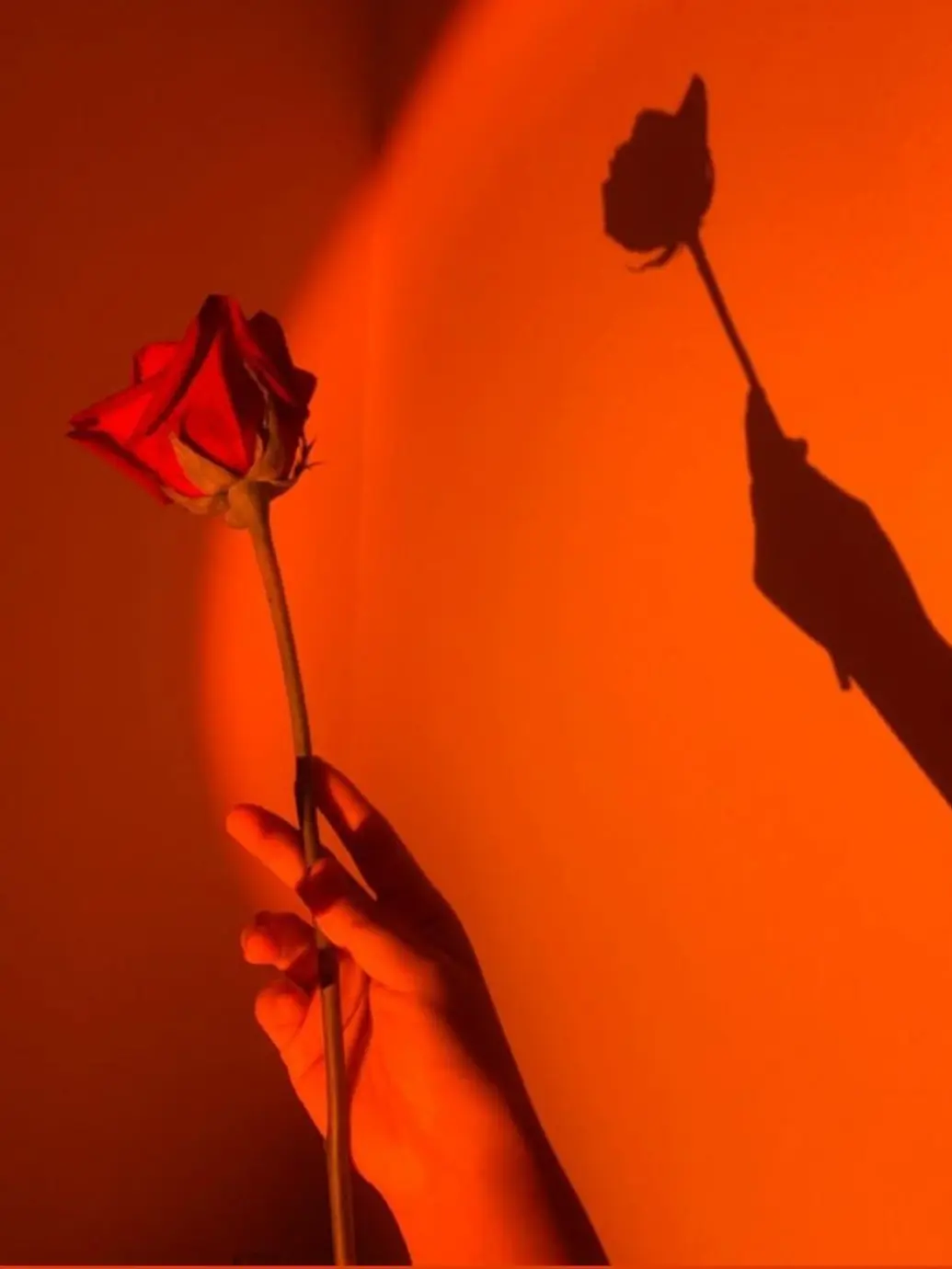 BaNillabread의 코마