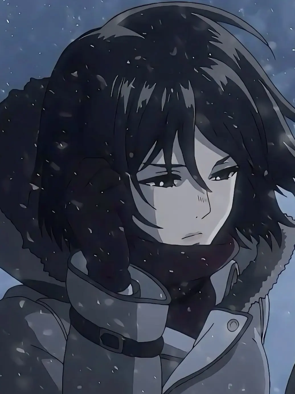 Undisturbed-queen의 Mikasa is cold