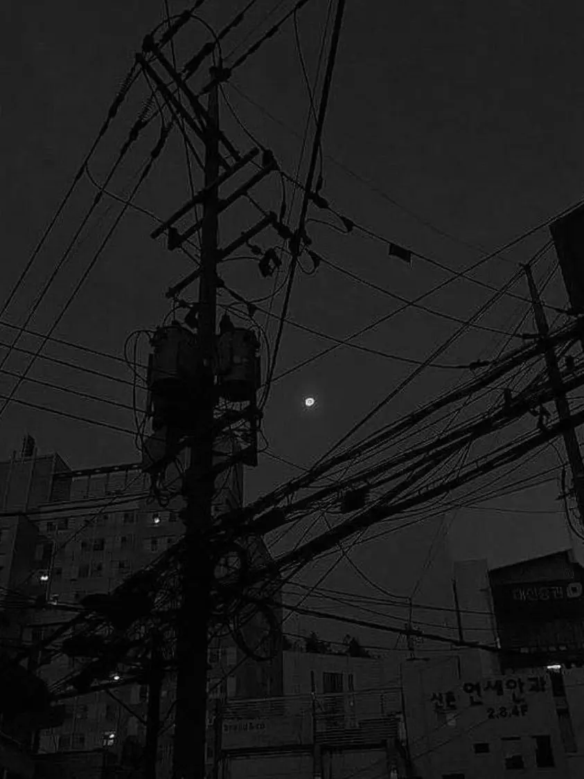 paradise__의 𝒑𝒂𝒓𝒂𝒅𝒊𝒔𝒆 조직