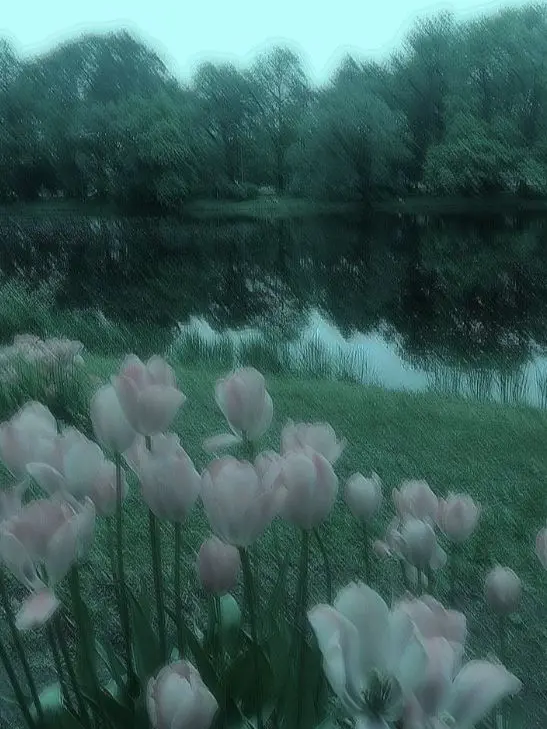 PerkyGlass7248의 Nora