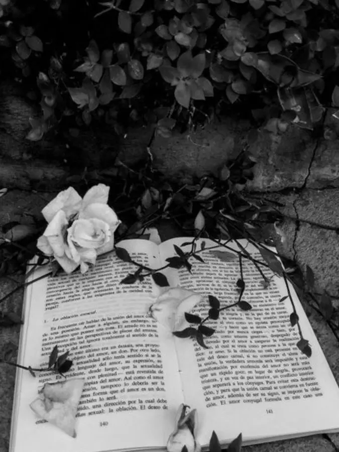 general_public의 별 애 아니라고 생각했는데.