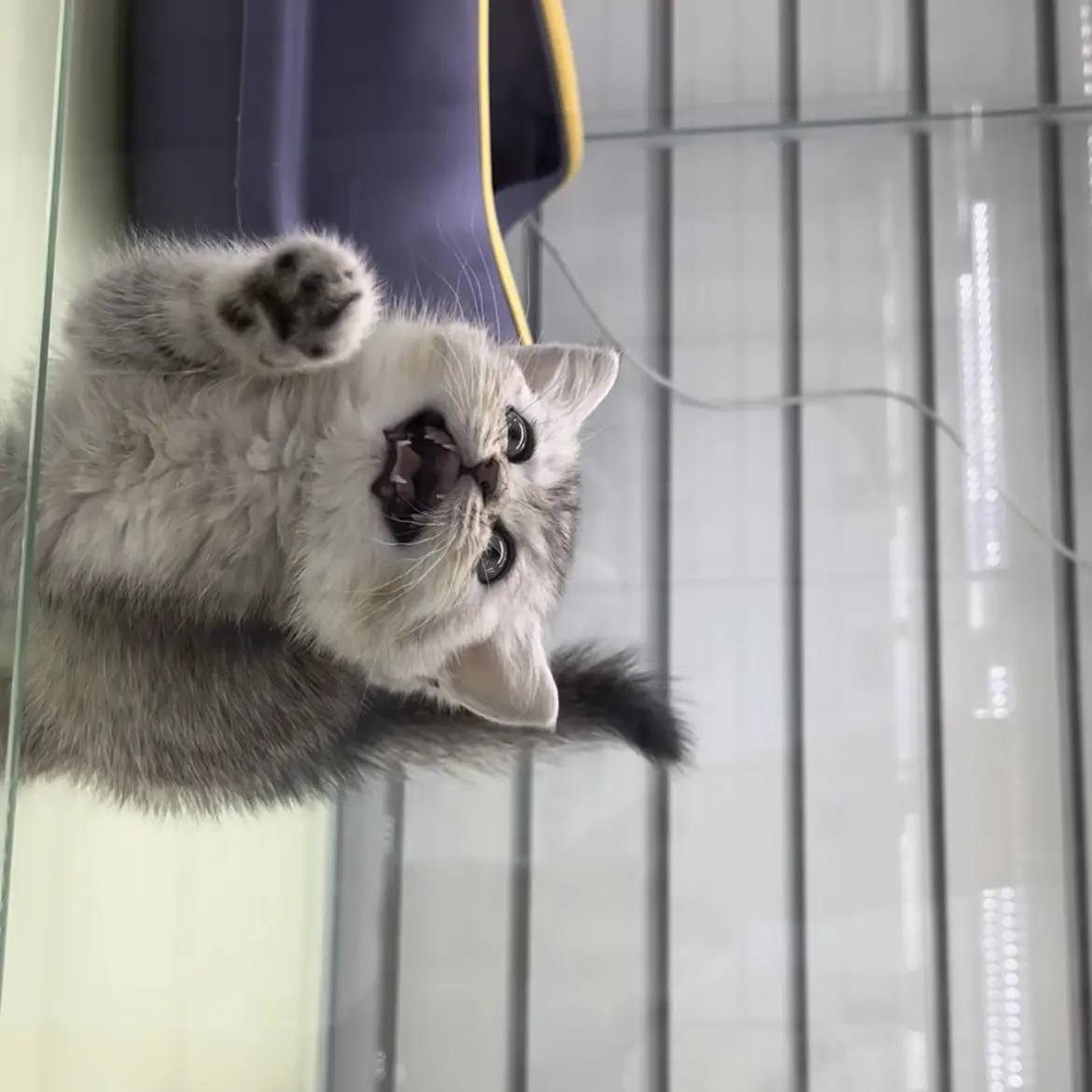 Tae_yoon0730의 <좀비가 나타났다?!>